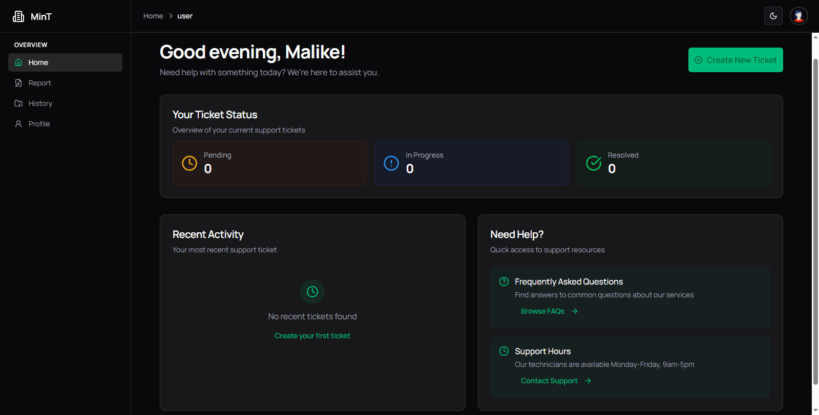 MinT Issue Report System screenshot 1